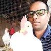Avatar of Bijaya Kumar