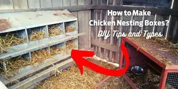 Harris Farms 2 Hole Nesting Box for Chickens