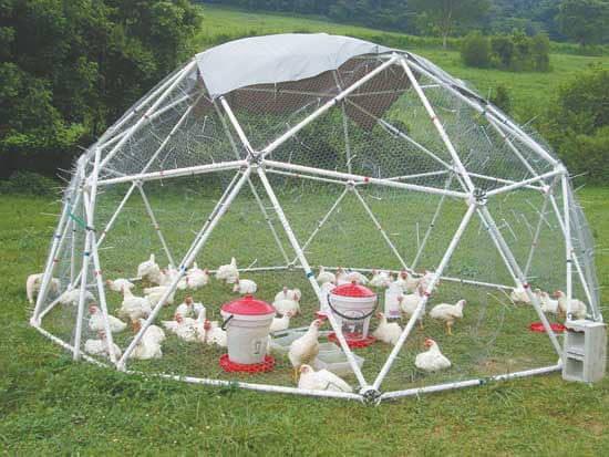 Dome Shape Mobile PVC Portable Chicken Coop