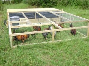 Best 21 Portable Chicken Coops & Tractors (Free Plans, Designs)