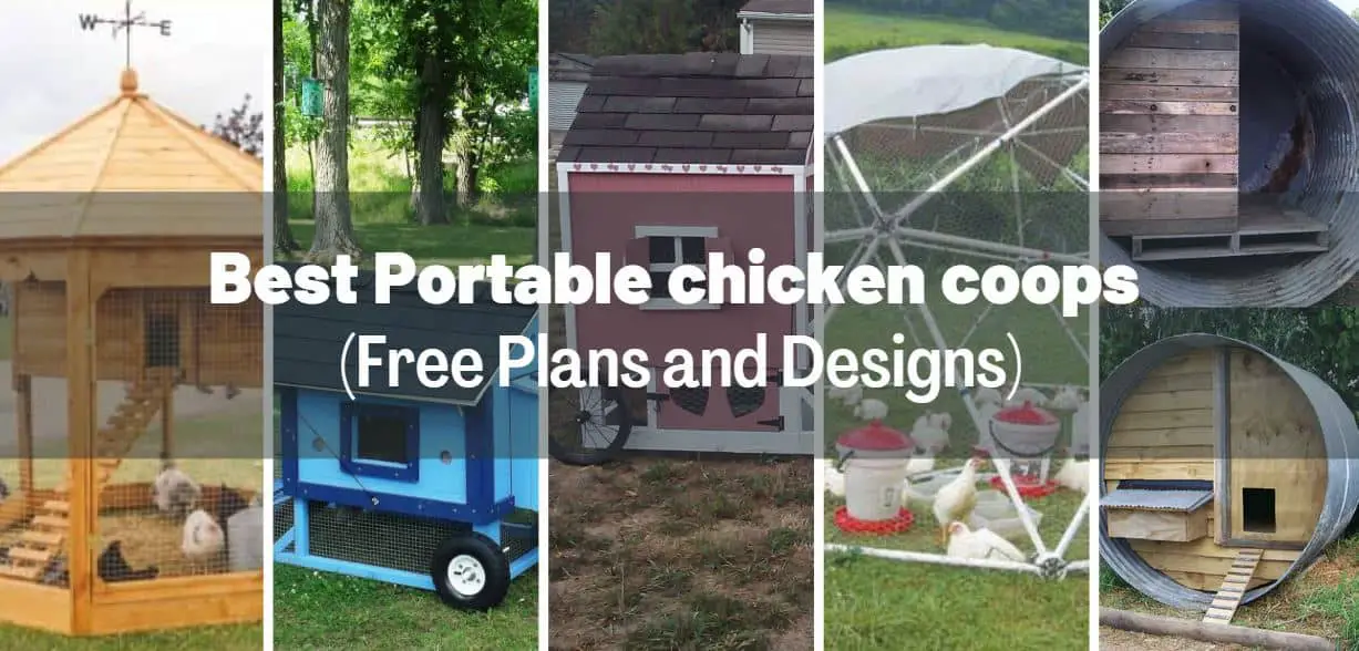 Best 21 Portable Chicken Coops & Tractors (Free Plans, Designs)