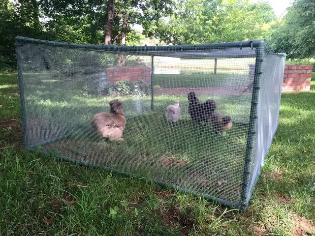 Rectangular traditional portable chicken coop plan