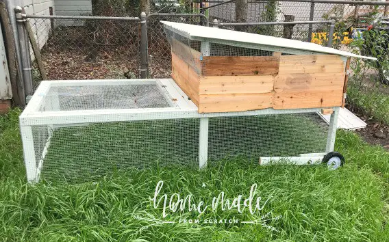 Rooftop design chicken coop for 3 to 5 hens