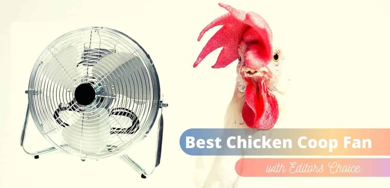Top 5 Best Chicken Coop Fans For Ventilation (Editor's Choice), best fans for chicken coop