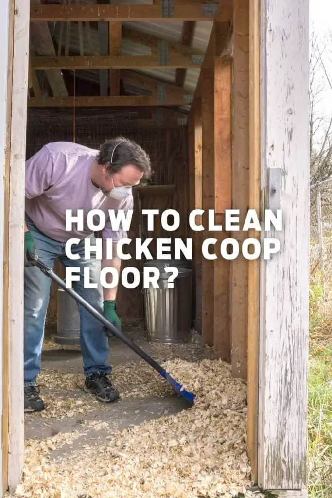 How to Clean the Chicken Coop Floor