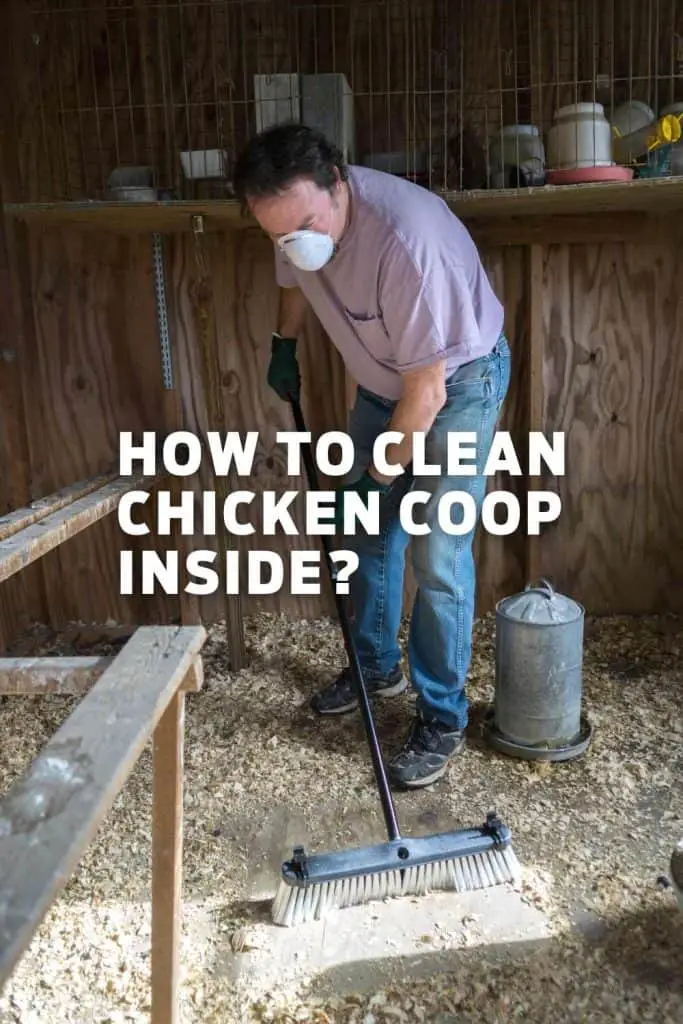 How to Clean Chicken Coop Inside