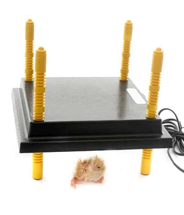 heating plate for chickens