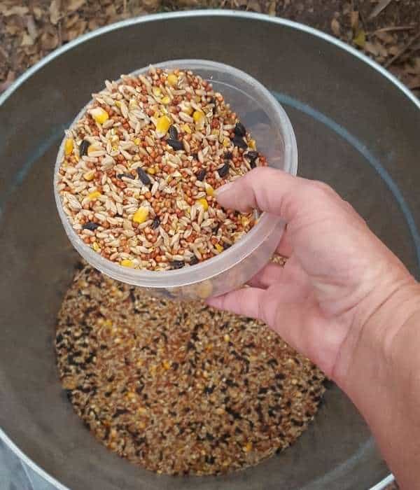 chicken scratch feed in a mixing bowl