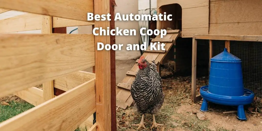 Top 9 Best Automatic Chicken Coop Door & Kit (Editors Choice)
