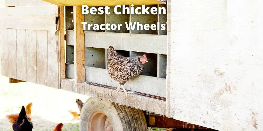 Best Chicken Tractor Wheels and Coop Wheels