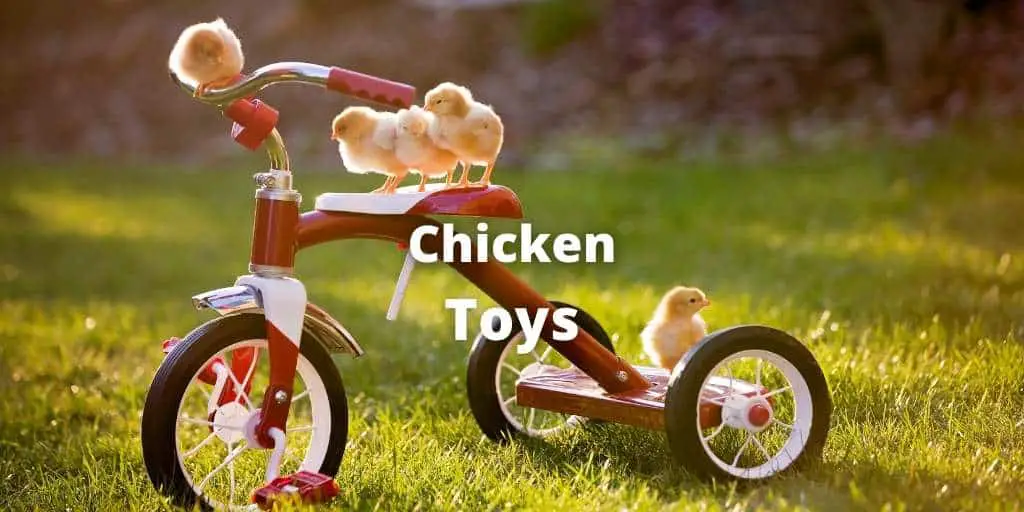 Top 21 Best Chicken Toys & Homemade DIY Chicken Toys Guide