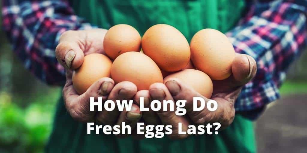 How Long Do Fresh Eggs Last? (in Fridge & Unrefrigerated)