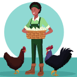 Raising chickens 101 category icon