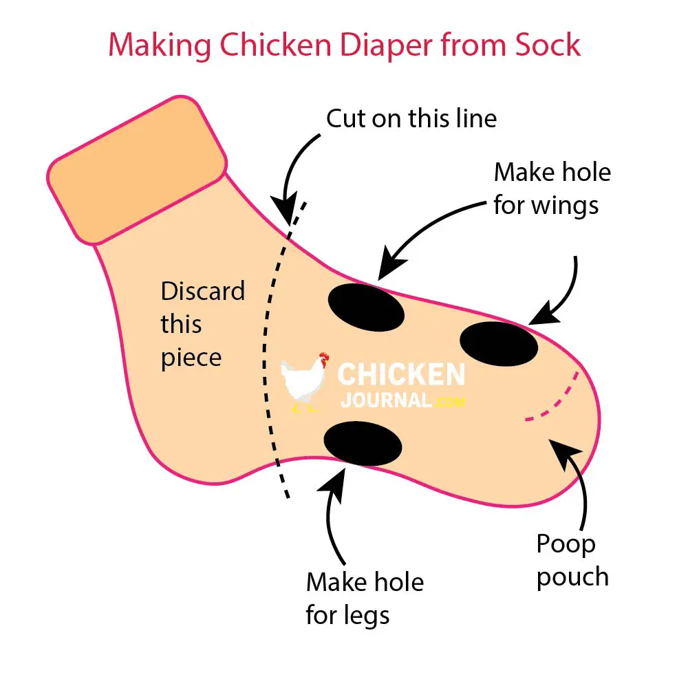 Making chicken diaper from socks