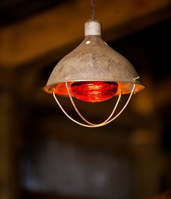 Heat lamp Red Infrared Bulb for chicks
