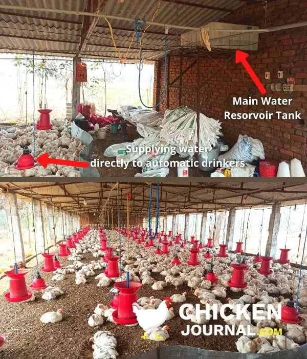 A large shed with automatic chicken waterer system