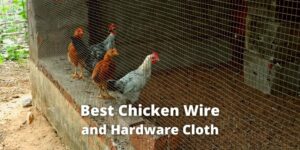 11 Best Chicken Wire and Hardware Cloth (For Fencing Coop, Run)