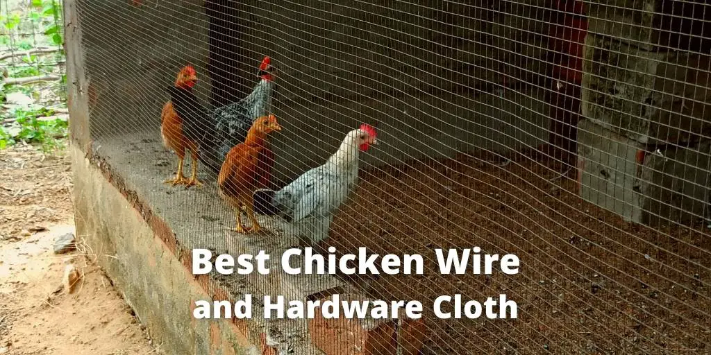 11 Best Chicken Wire and Hardware Cloth (For Fencing Coop, Run)