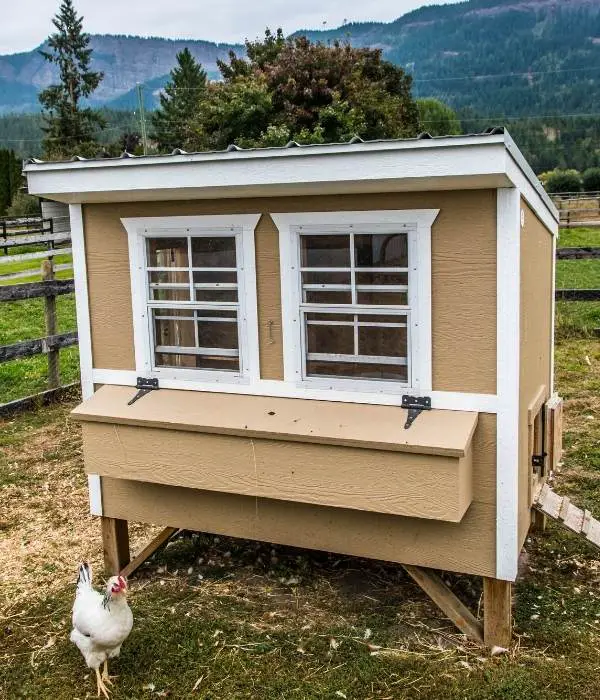 window for chicken coop ventilation