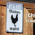 30 Best Chicken Coop Decor Ideas (For Inside & Outside House)
