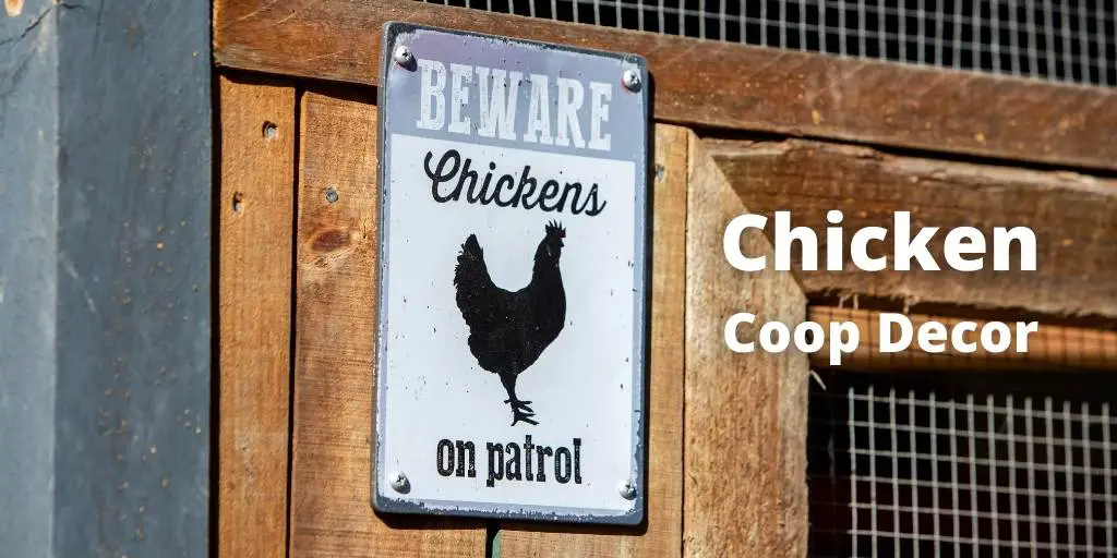 30 Best Chicken Coop Decor Ideas (For Inside & Outside House)