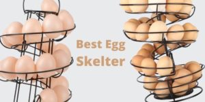 Top 10 Best Egg Skelter: To Store Your Eggs Safely