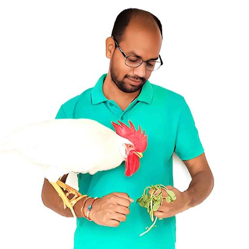 Bijaya Kumar, The founder and author of chicken journal with his leghorn chicken