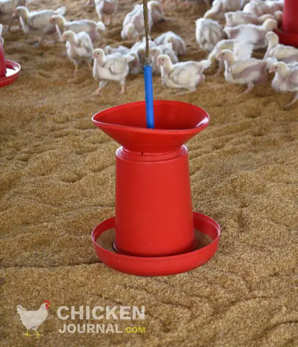 What Are Chicken Feeders?