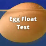 Egg Float Test: Myths, Procedure, Chart, Hypothesis vs. Reality