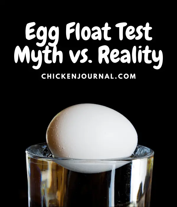 Egg Float Test Myth vs. Reality