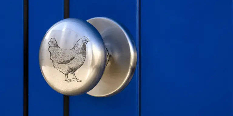 10 Best Rooster Knobs or Pulls for Cabinets and Drawers