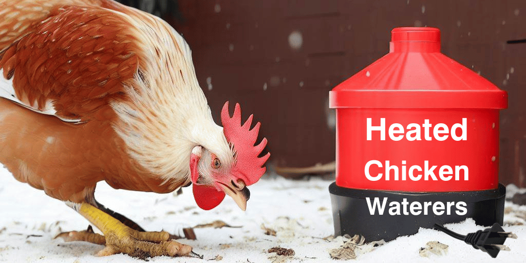 Top 10 Best Heated Chicken Waterers