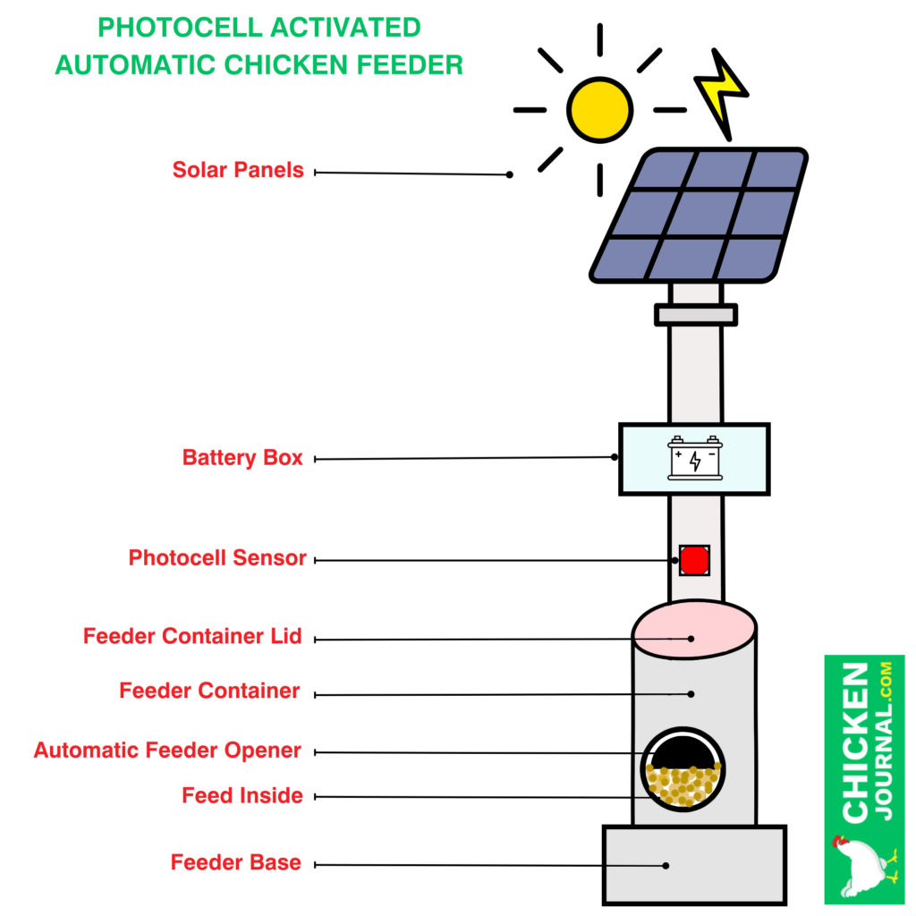 Photocell Activated Automatic Chicken Feeders Design Idea: Feed Your Chickens at Dawn and Dusk 