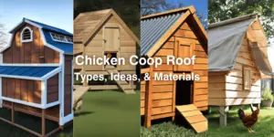 7 Best Chicken Coop Roof Types, Ideas, & Materials (With Images)