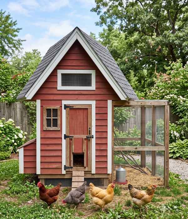 Chicken Coop Roof Types: Best Designs &Amp; Roofing Materials 4 chicken coop with a clear gable roof
