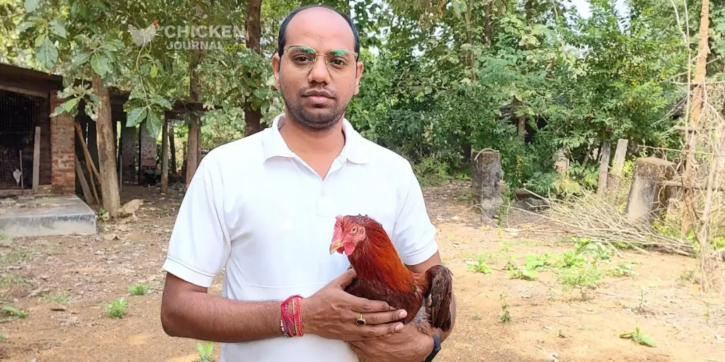 A Day in My Chicken Coop: Daily Backyard Chicken Care Routine