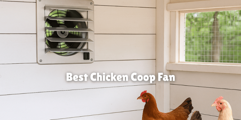 10 Best Chicken Coop Fans For Ventilation & Cooling
