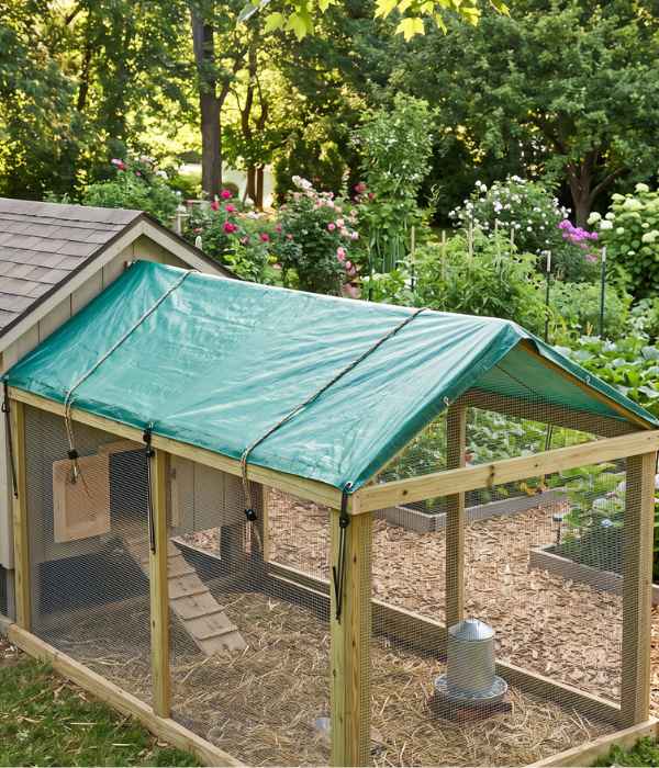 Chicken Coop Roof Types: Best Designs &Amp; Roofing Materials 16 chicken run roof covered only with a heavy-duty tarp